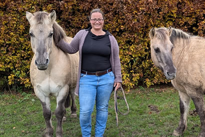 Coaching mit Pferden