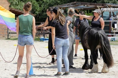 Teambilding Kreidl